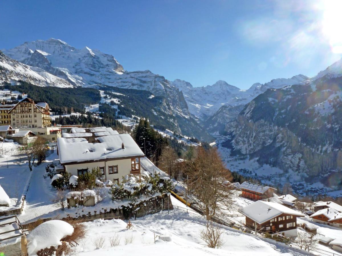 Apartment Primula By Interhome Wengen Exteriör bild